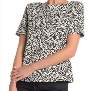 Philosophy Rose Black Ivory Short Sleeve Blouse